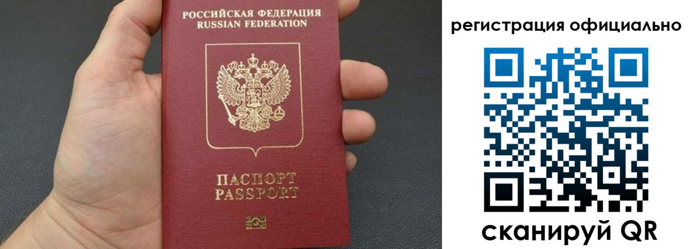прописка в Жукове